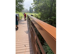 IMG_0228